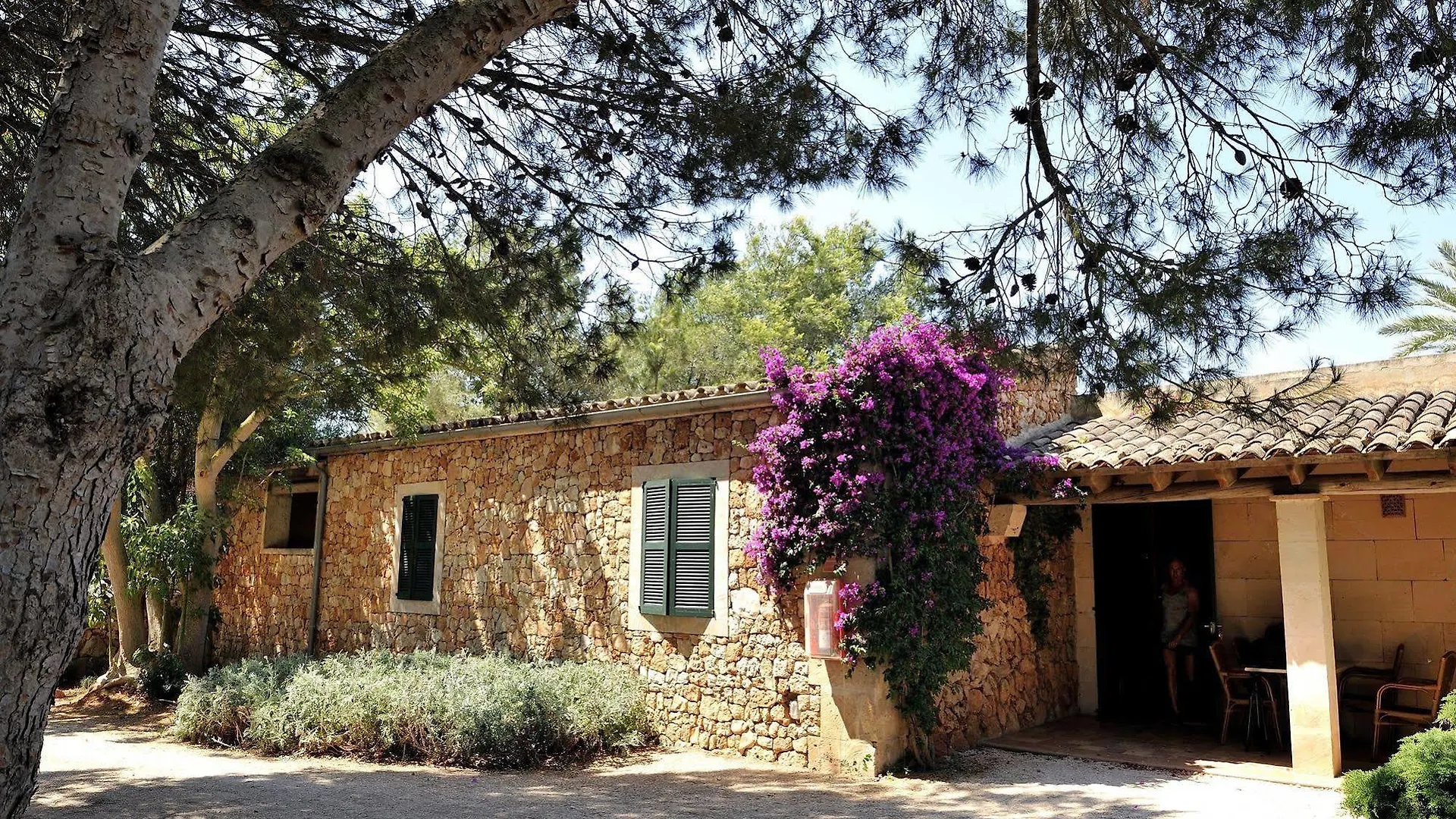 Petit Hotel Es Figueral Campos
