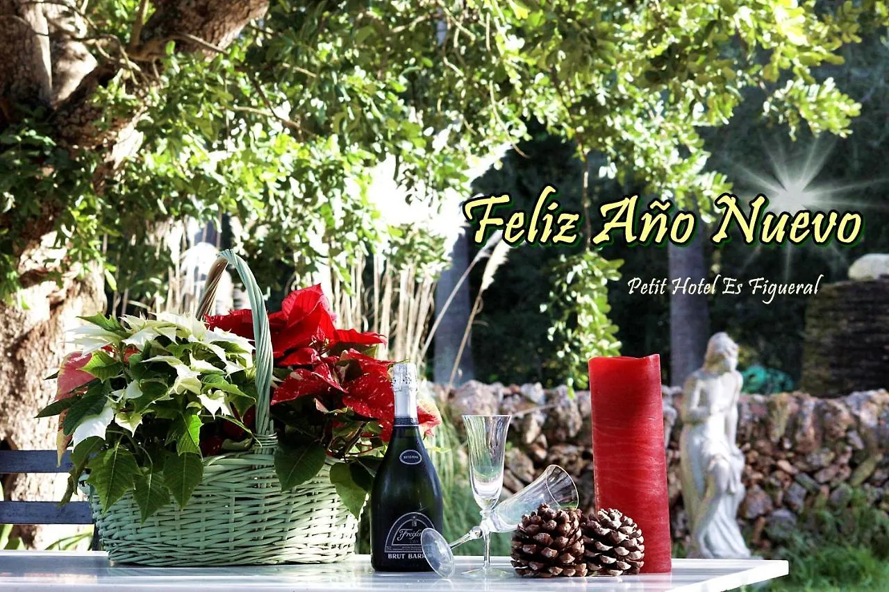 Petit Hotel Es Figueral Campos