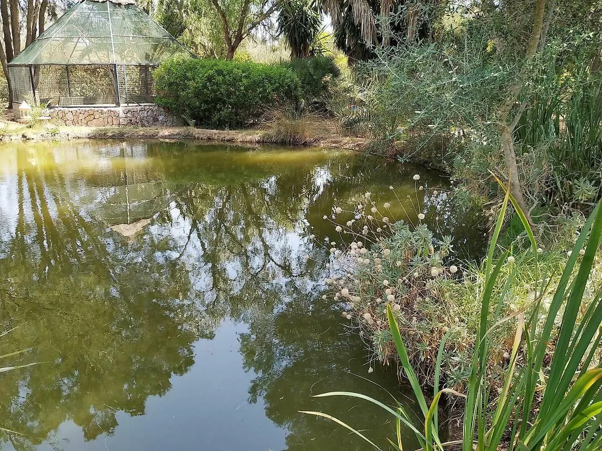 Petit Hotel Es Figueral Campos   Campos (Mallorca)